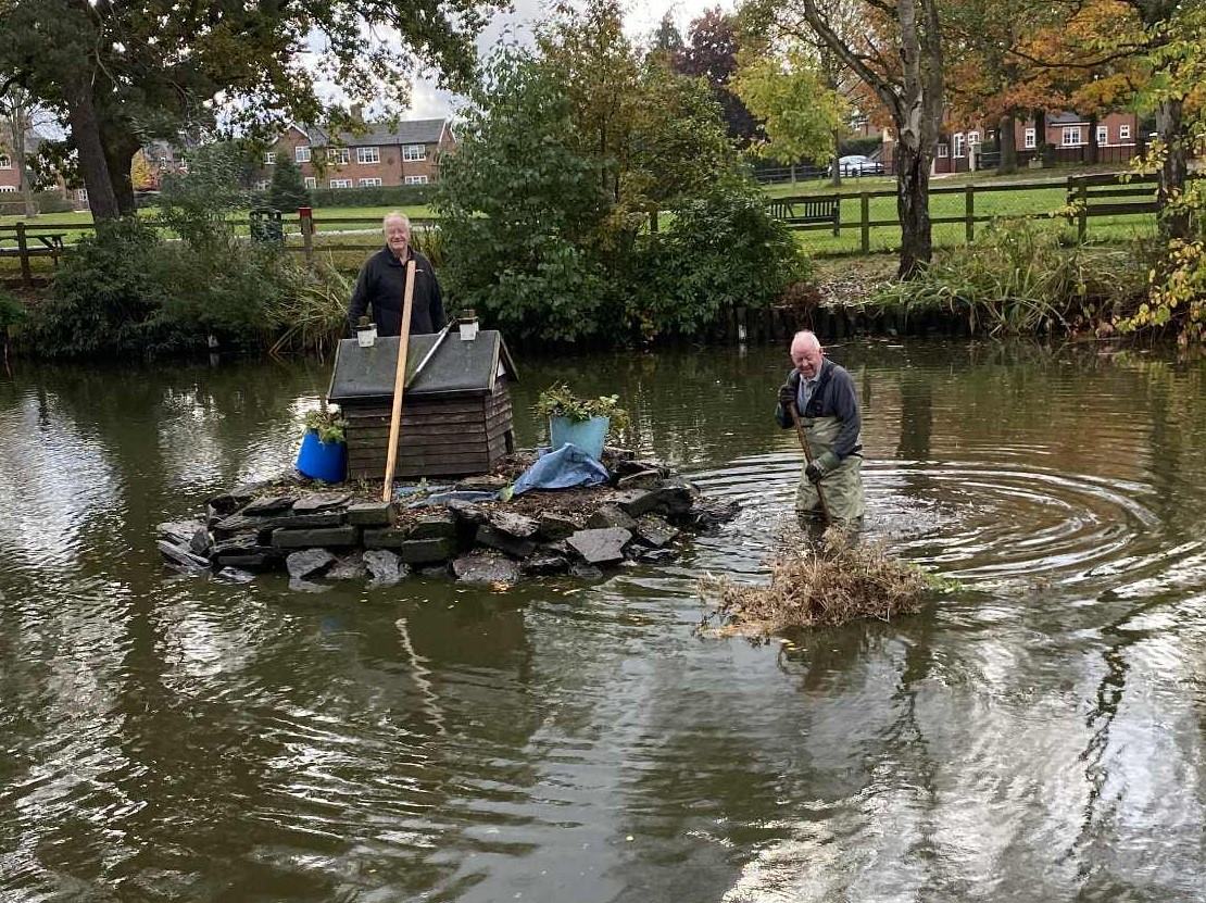 Cleaning up the pond, 2025